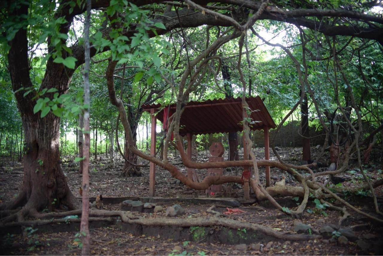 Zohra Baugh, A Green & Organic Farmhouse Stay With All Amenities Dahanu Exterior photo