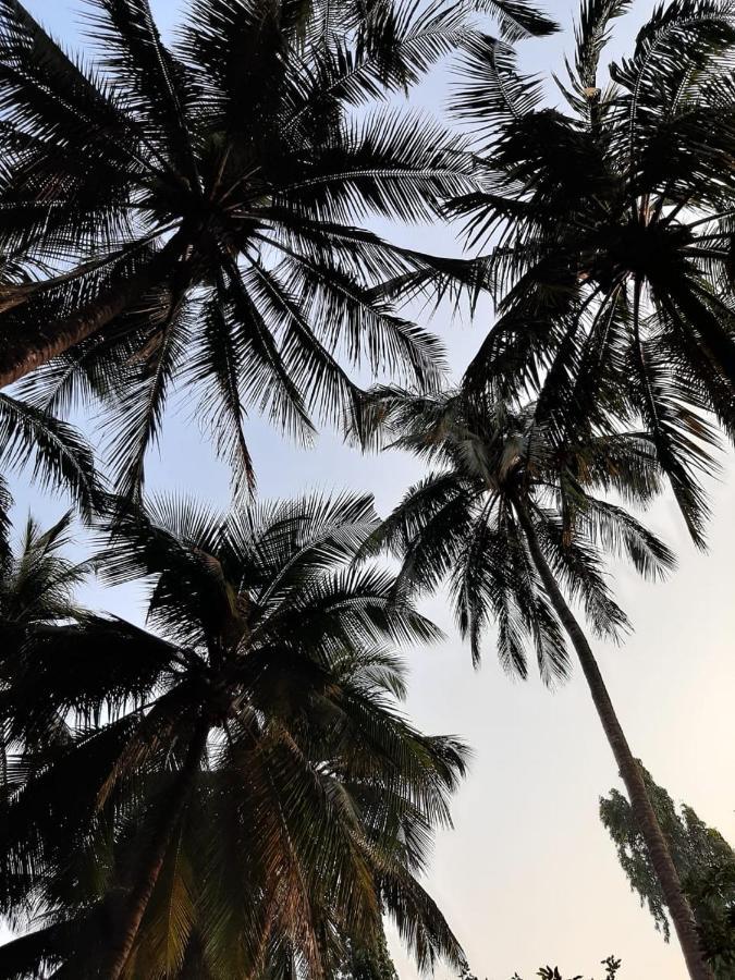 Zohra Baugh, A Green & Organic Farmhouse Stay With All Amenities Dahanu Exterior photo