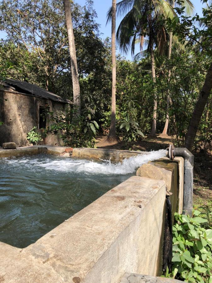 Zohra Baugh, A Green & Organic Farmhouse Stay With All Amenities Dahanu Exterior photo